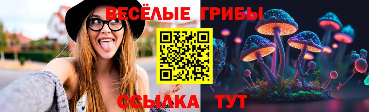 Псилоцибиновые грибы MAGIC MUSHROOMS  Вход с VPN  Горячий Ключ 